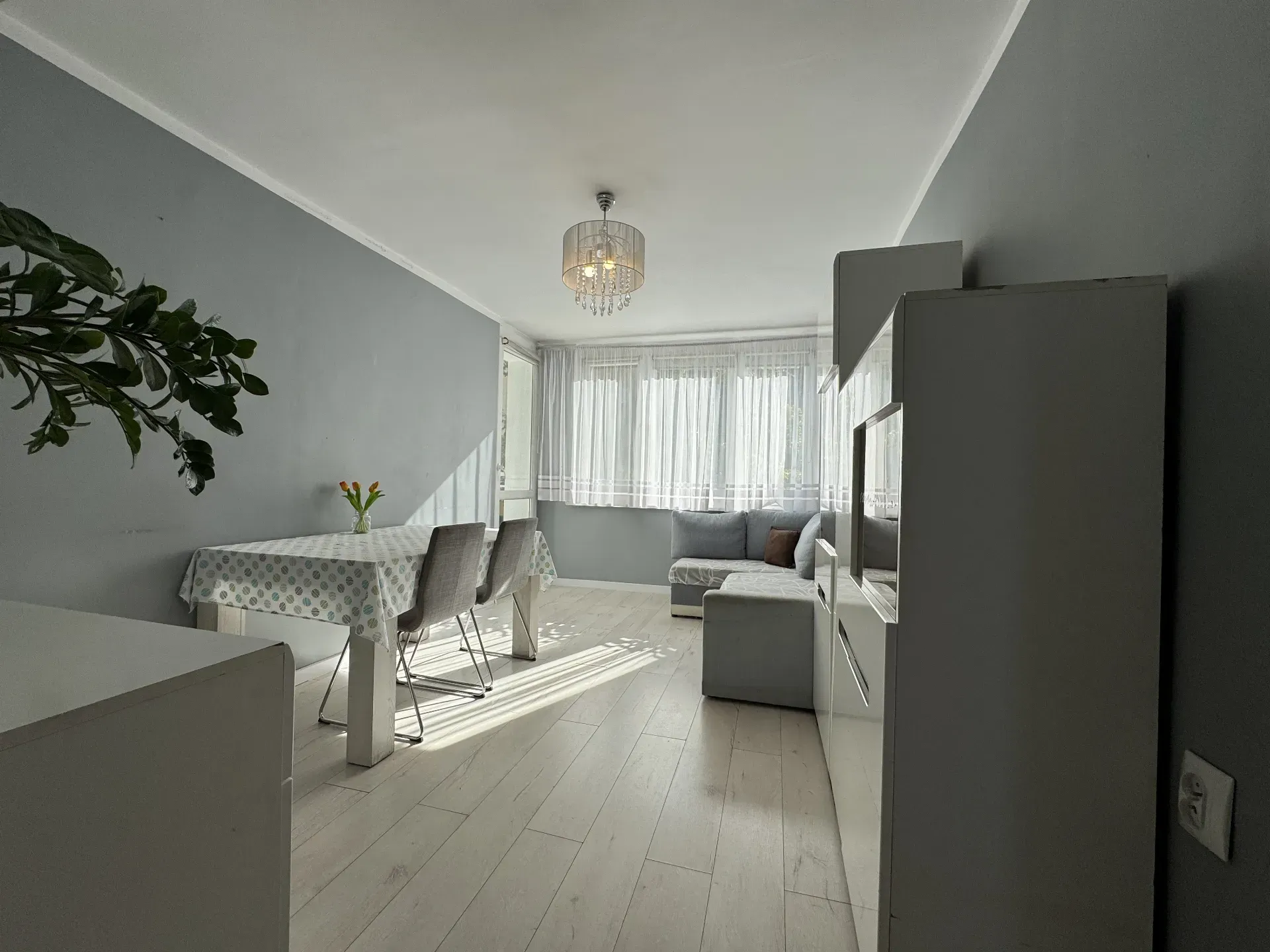 3 pokoje- ul. Wyzwolenia 1 piętro + balkon 4